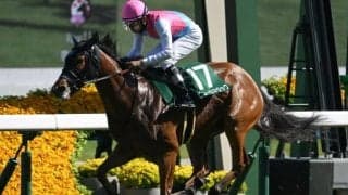 【アイビスSD予想】新潟名物の“電撃戦” 「外枠」「リピーター」が的中への近道に