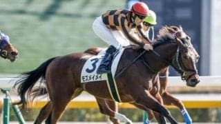 【アイビスSD予想】外枠より狙える傾向がある!? 過去データから探るGIIIアイビスSD