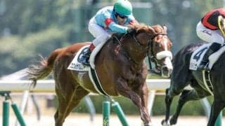 【新潟4R新馬戦結果】アーモンドアイの仔プロメサアルムンドがC.ルメール騎手とのコンビでV！