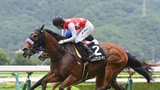 【競馬予想】アイビスサマーダッシュは今年も「荒れる」　穴党記者が推奨する激アツな伏兵２頭