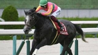 【アイビスSD・馬体重】テイエムスパーダは502kg(+6)、ピューロマジックは446kg