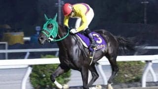 【高知・黒潮菊花賞】園田のラピドフィオーレが圧巻6馬身差V！地方交流初開催を制す
