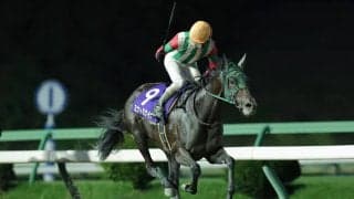 【盛岡・ひまわり賞】ミナトミナイトが完勝！精神面の成長で4馬身差圧勝