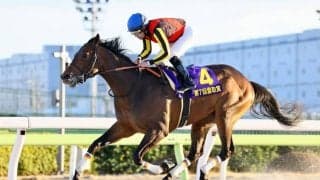 【レパードS登録馬】ジャナドリアなど23頭