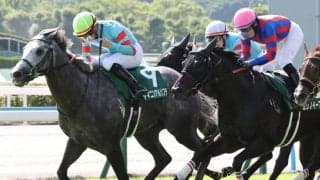 【CBC賞登録馬】3連勝中ヤマニンアルリフラなど19頭