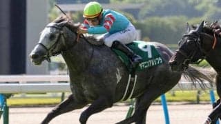 【CBC賞見どころ】ヤマニンアルリフラの4連勝に期待