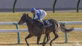 【エルムS見どころ】安定感が光るロードクロンヌ