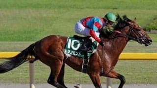 第1回覇者トランセンドは2位 レパードSの勝ち時計ランキング