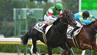 【レパードS想定騎手】ヴィンセンシオはC.ルメール騎手、ジャナドリアは戸崎圭太騎手