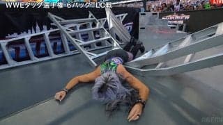 「夫が妻を…」“あってはならない”光景に騒然 衝撃の場外落下に会場どよめき