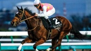 【AI予想・CBC賞】ハンデ戦らしく難解なスプリント重賞！ 前走に見どころのあった人工知能の本命候補