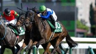 アルジーヌが母仔制覇達成 血統面でクイーンS＆アイビスSDを振り返る