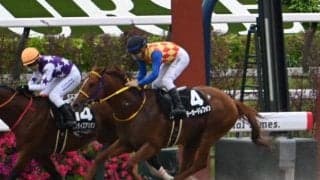 【エルムS展望】好走傾向がはっきりしたレースで妙味も十分