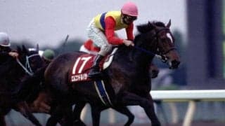 キングマンボ×サドラーズウェルズの最初の成功例 JRA顕彰馬にも選出された名馬「エルコンドルパサー」