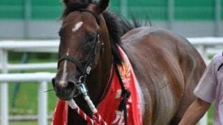 エルムS男・岩田康誠 過去の5勝を振り返る