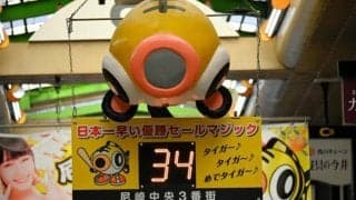 もう消えんといてや　タイガース推し商店街に「リアルマジック」点灯