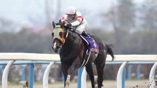 GI級・10勝ホッコータルマエの活躍はここから 初重賞制覇を果たしたレパードＳ