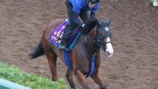 ママコチャなど、先週の入厩情報/栗東トレセンニュース