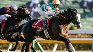 東スポ杯覇者シュトラウス CBC賞を勝てば20年ぶり史上4頭目の記録に