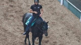 ベルディーヴァの2023(シャンドラファール)など、先週のゲート試験/栗東トレセンニュース