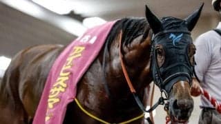 【アイビスSD】売上は74億4075万1400円で昨年より約6億円増加