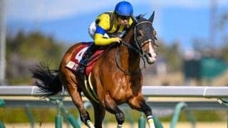 【先週のJRA抹消馬】重賞3勝を挙げたプログノーシス、23年ユニコーンSの2着馬サンライズジークなど