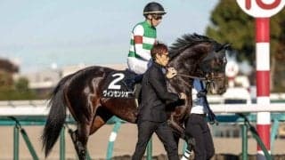 【レパードS予想オッズ】ヴィンセンシオが予想1番人気