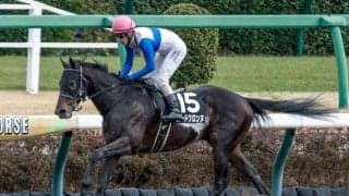 【エルムS予想オッズ】ロードクロンヌが予想1番人気