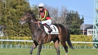 【レパードS展望】実績上位のジャナドリアが中心