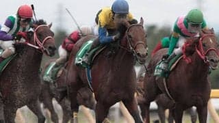 ディープインパクト産駒初のダート重賞勝利 ボレアスのレパードS