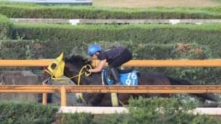 ブルーミンデザイン、中京記念1週前追い切り速報/栗東トレセンニュース