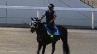 シュヴァリエローズ、札幌記念1週前追い切り速報/栗東トレセンニュース