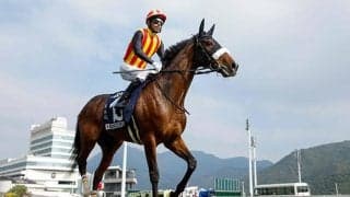 【札幌記念想定】ステレンボッシュやヴェローチェエラなど15頭