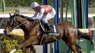 【CBC賞】武豊騎手が7年ぶりの参戦 ジューンブレアで26年ぶり3勝目なるか