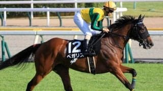 【CBC賞】藤懸貴志騎手が4年ぶりの重賞2勝目へ ベガリスで一発狙う