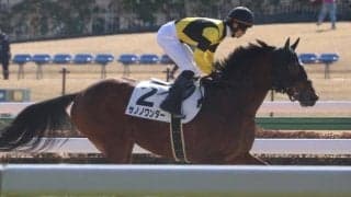 【レパードS予想】AIは二桁人気の伏兵を指名 直近のパフォーマンスと血統が重要なファクターに