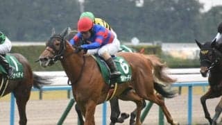 【CBC賞展望】好走条件揃うカルチャーデイが重賞2勝目を狙う