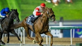 【海外競馬】ダノンデサイル、英インターナショナルS出走へ…JRAが馬券発売決定