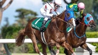 過去の勝ち馬には名馬ズラリ 「レパードS」は昨年からジャパンダートクラシックの前哨戦に