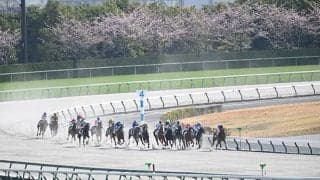 昨年から実施の「競走時間帯の拡大」 今年から中京競馬にも導入した理由は？