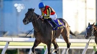 【レパードS出走馬・騎手確定】ジャナドリア＆戸崎圭太騎手、ヴィンセンシオ＆C.ルメール騎手など15頭