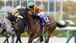 半姉は桜花賞馬のステレンボッシュ 3歳のフランシュフックがダートで初陣だ