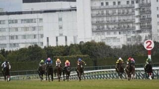 “おじ”と“おい”がデビュー戦で対決 マイコンチェルトvsヒリュウに注目