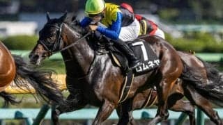 【三面川特別】半妹はリバティアイランド ロムネヤが待望の3勝目なるか