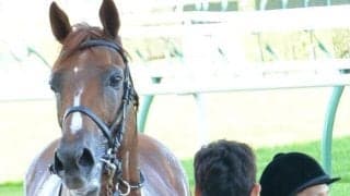 ペルーサが5年3カ月8日ぶりに勝利した札幌日経OPからちょうど10年