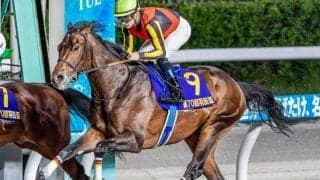 【レパードS枠順確定】ジャナドリアは4枠6番、ヴィンセンシオは6枠10番