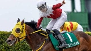 【エルムS枠順確定】ヴァルツァーシャルは6枠9番、ドゥラエレーデは3枠3番