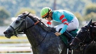 【CBC賞枠順確定】ヤマニンアルリフラは7枠14番、ジューンブレアは5枠9番