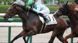 【厚岸特別】全姉は三冠牝馬デアリングタクト デアリングエアが松山騎手と再コンビで2勝目なるか