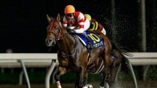 【盛岡・クラスターC枠順】短距離重賞2勝のチカッパは4枠6番、GI馬ダノンスコーピオンは6枠9番